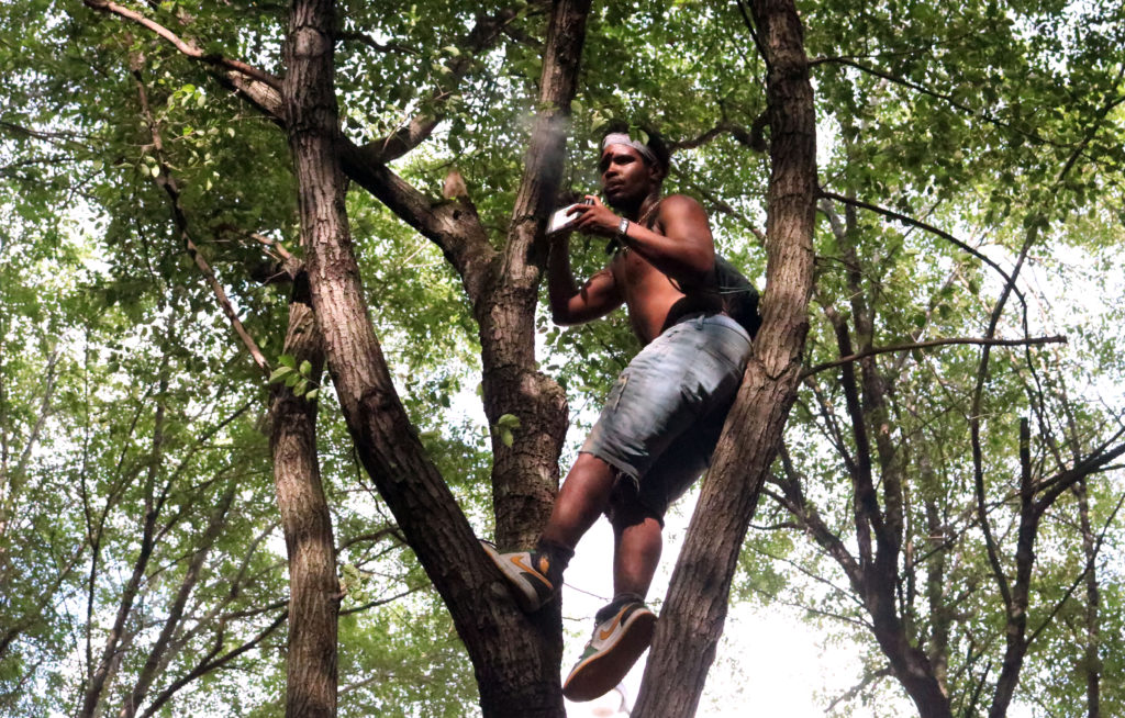 Tree climber watching G Herbo's show