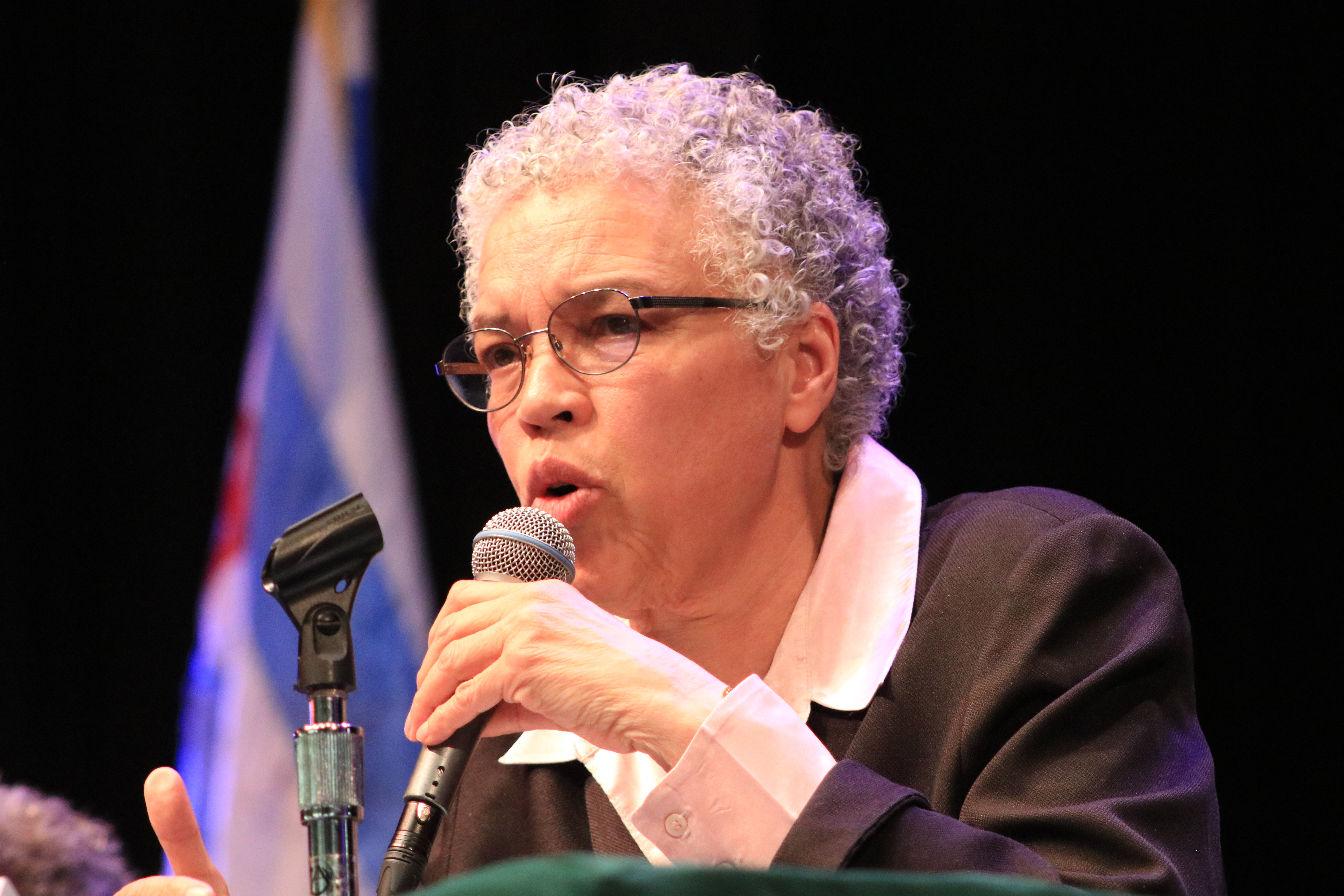 Road to the Runoff: Q&A with Chicago mayoral candidate Toni Preckwinkle
