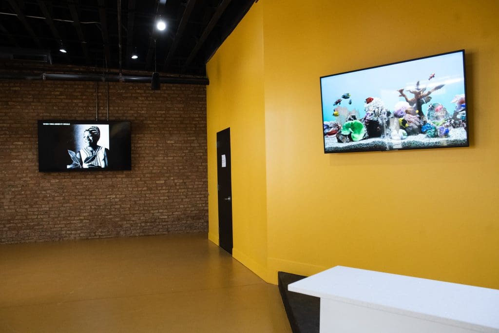 The entry space at Sisters In Cinema